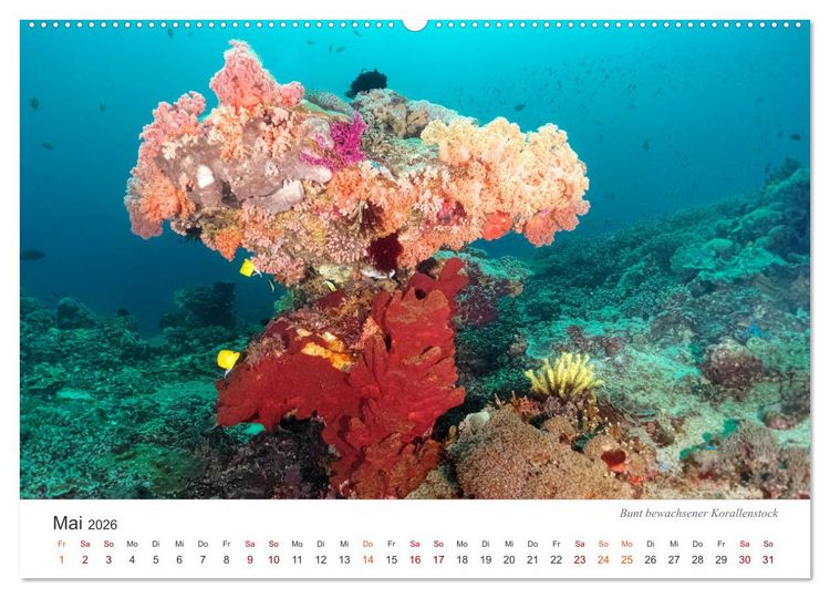 Produktbild: Unterwasser - eine bunte Welt (Wandkalender 2026 DIN A2 quer), CALVENDO Monatskalender