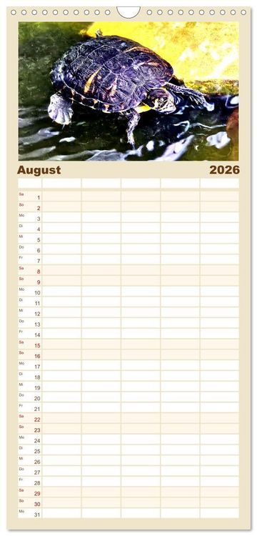 Produktbild: Familienplaner 2026 - Schmuckschildkr&ouml;ten - Schmuckst&uuml;cke der Natur mit 5 Spalten (Wandkalender, 21 x 45 cm) CALVENDO
