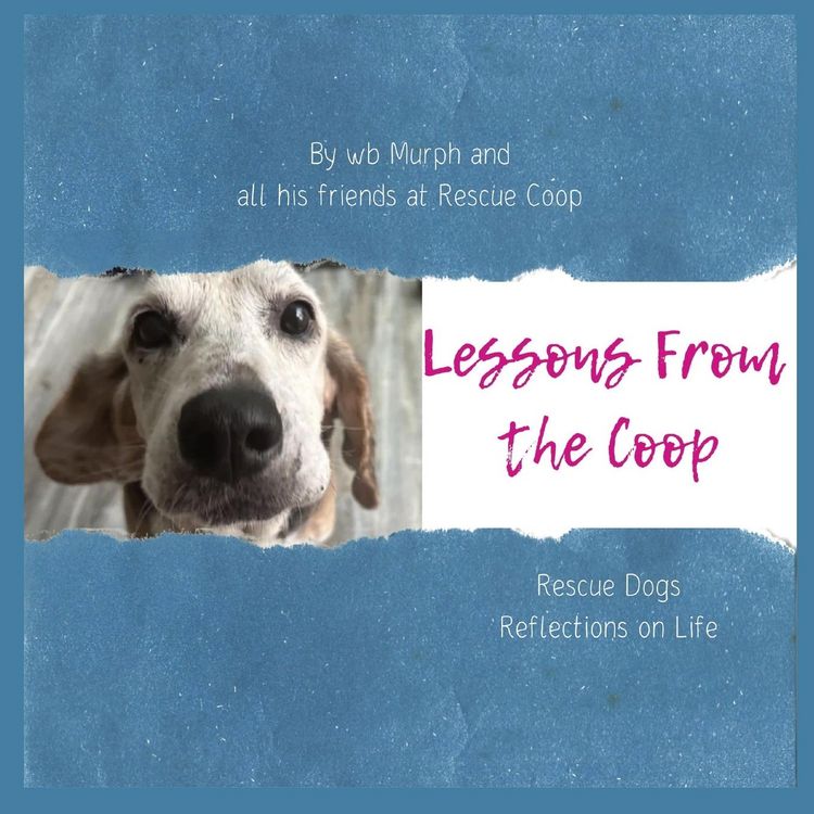 Produktbild: Lessons from the Coop