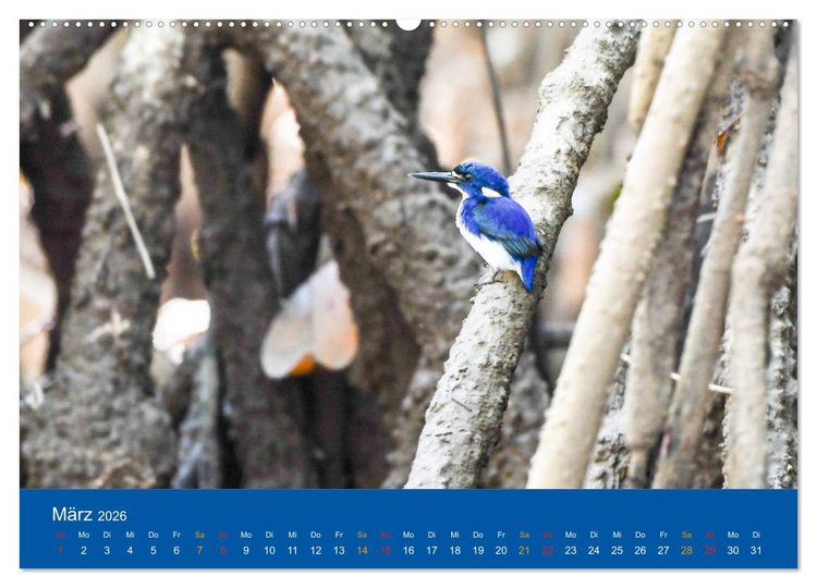 Produktbild: Australien, tierischer Kontinent (Wandkalender 2026 DIN A2 quer), CALVENDO Monatskalender