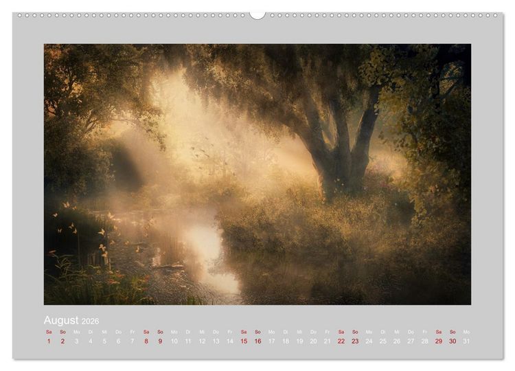 Produktbild: Wald der M&auml;rchen (hochwertiger Premium Wandkalender 2026 DIN A2 quer), Kunstdruck in Hochglanz