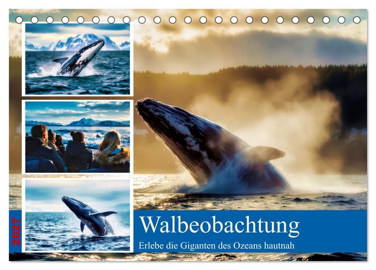 Produktbild: Whale Watching (Tischkalender 2027 DIN A5 quer), CALVENDO Monatskalender