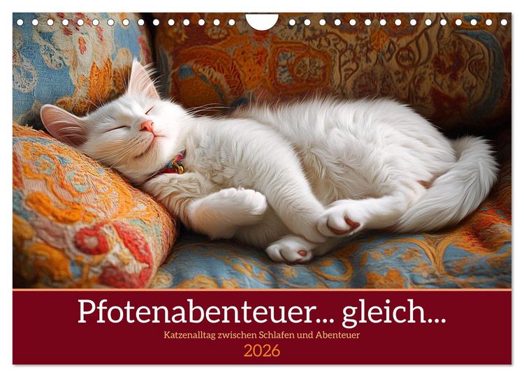 Produktbild: Pfotenabenteuer gleich (Wandkalender 2026 DIN A4 quer), CALVENDO Monatskalender