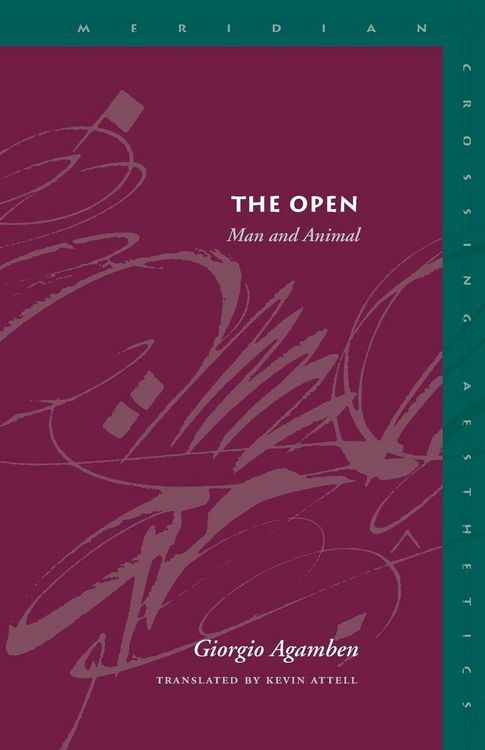 Produktbild: The Open