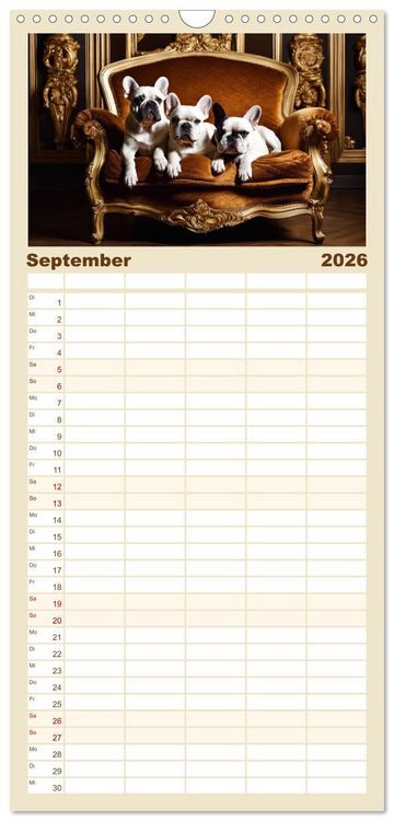 Produktbild: Familienplaner 2026 - Kleine K&ouml;nige - Franz&ouml;sische Bulldoggen mit 5 Spalten (Wandkalender, 21 x 45 cm) CALVENDO