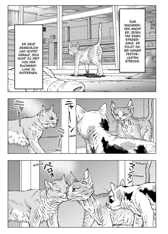 Produktbild: Night of the Living Cat 04 - Die Katze aus einer anderen Welt - D-Rex