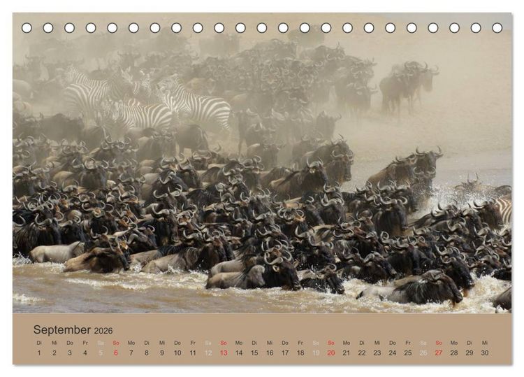Produktbild: Safari Impressionen / Kenia (Tischkalender 2026 DIN A5 quer), CALVENDO Monatskalender