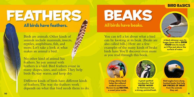Produktbild: Little Kids First Big Book of Birds