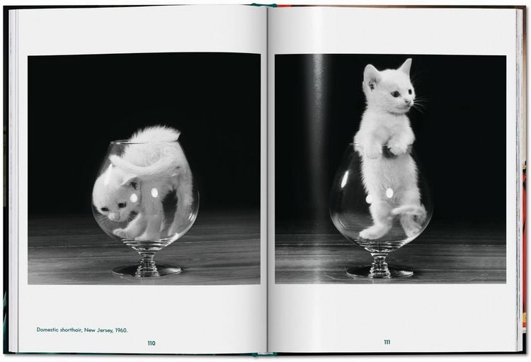 Produktbild: Walter Chandoha