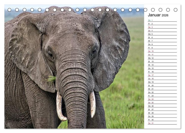 Produktbild: Elefanten . Wildlife in Kenia (Tischkalender 2026 DIN A5 quer), CALVENDO Monatskalender