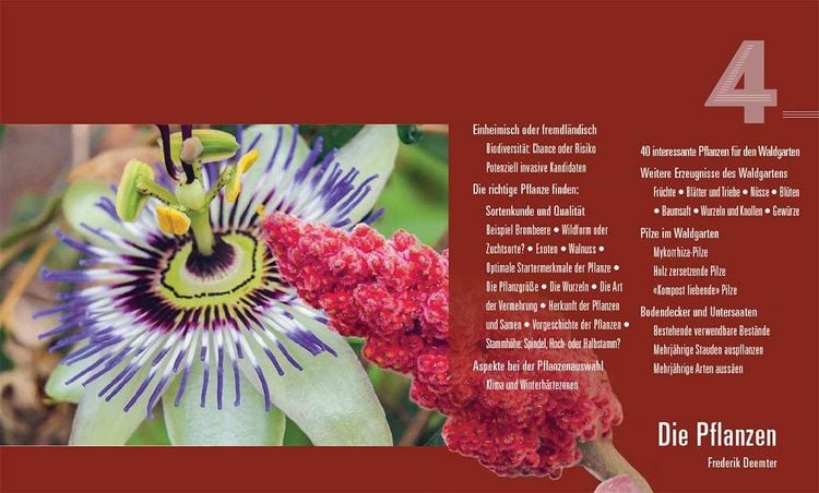 Produktbild: Praxisbuch Waldgarten