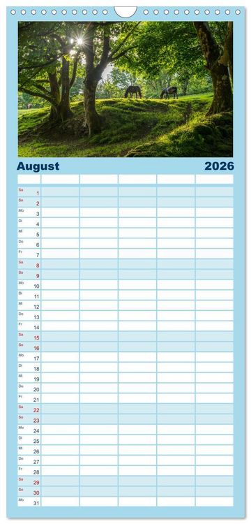 Produktbild: Familienplaner 2026 - Gro&szlig;britannien - England mit 5 Spalten (Wandkalender, 21 x 45 cm) CALVENDO