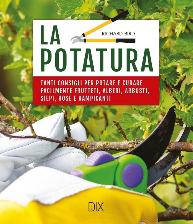 Produktbild: La potatura. Tanti consigli per potare e curare facilmente frutteti, alberi, arbusti, siepi, rose e rampicanti