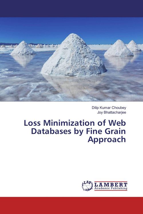 Produktbild: Loss Minimization of Web Databases by Fine Grain Approach