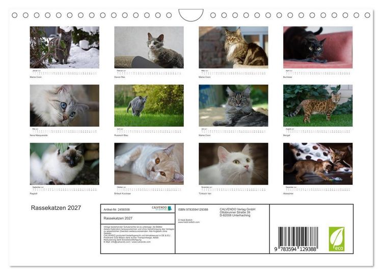 Produktbild: Rassekatzen 2027 (Wandkalender 2027 DIN A4 quer), CALVENDO Monatskalender