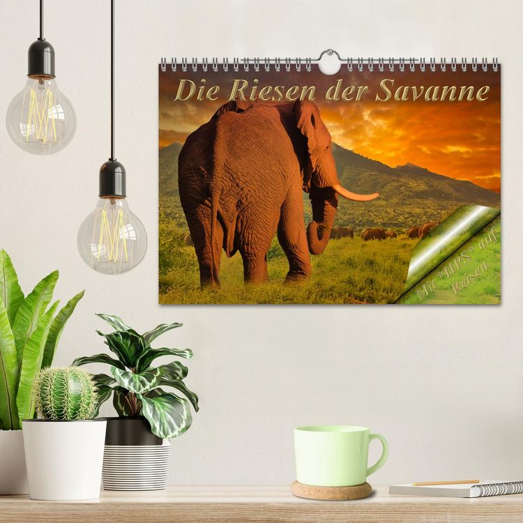Produktbild: Die Riesen der Savanne (Wandkalender 2026 DIN A4 quer), CALVENDO Monatskalender