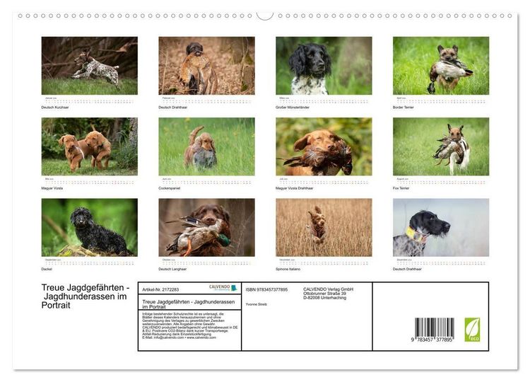 Produktbild: Treue Jagdgef&auml;hrten - Jagdhunderassen im Portrait (hochwertiger Premium Wandkalender 2026 DIN A2 quer), Kunstdruck in Hochglanz