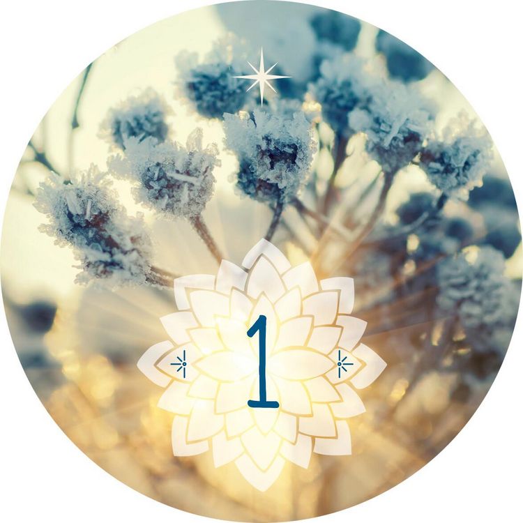 Produktbild: Adventskalender in der Dose. 24 Entspannungsmomente für den Advent