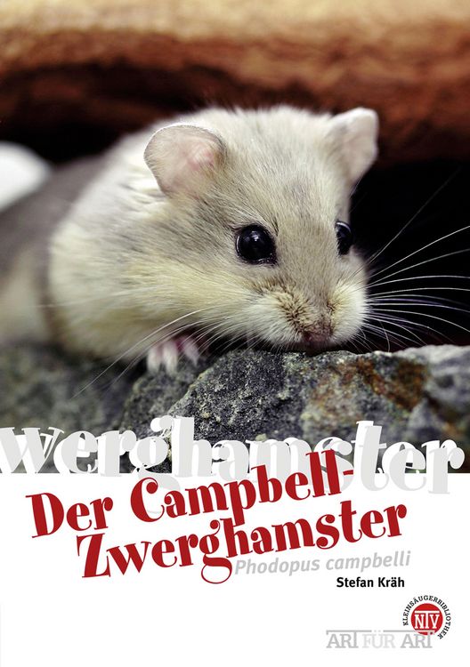 Produktbild: Der Campbell-Zwerghamster
