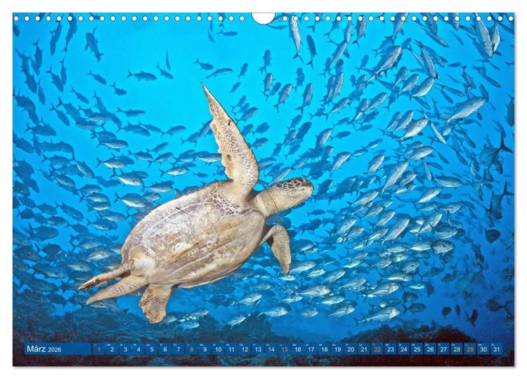 Produktbild: Planet Wasser: Von wegen Planet Erde (Wandkalender 2026 DIN A3 quer), CALVENDO Monatskalender