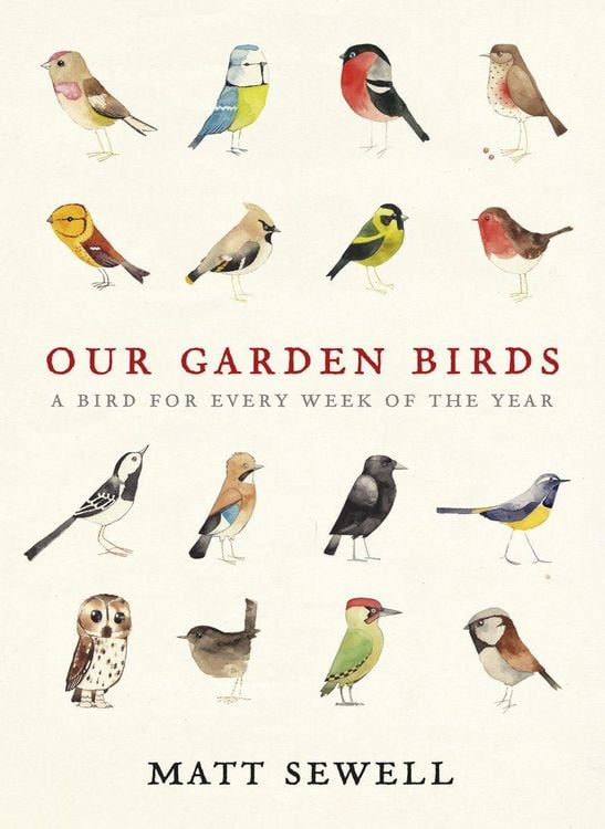 Produktbild: Our Garden Birds