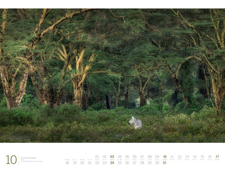 Produktbild: Afrika Gallery Kalender 2027