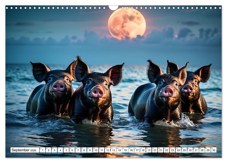 Produktbild: Schwimmende Schweine im Paradies (Wandkalender 2026 DIN A3 quer), CALVENDO Monatskalender