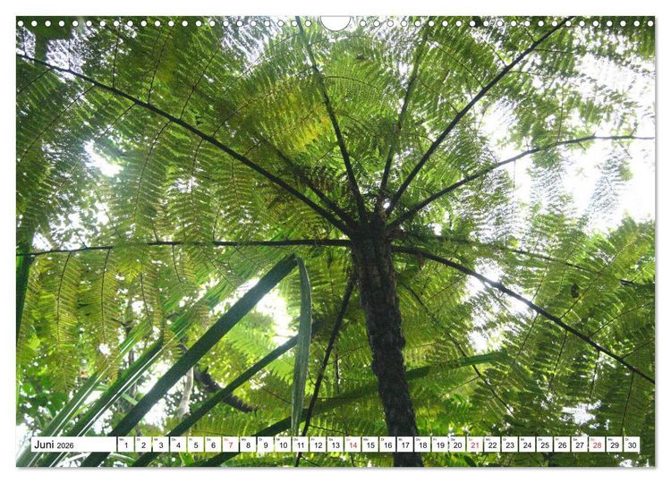Produktbild: Madagaskar (Wandkalender 2026 DIN A3 quer), CALVENDO Monatskalender