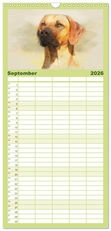 Produktbild: Familienplaner 2026 - Rhodesian Ridgeback 2026 mit 5 Spalten (Wandkalender, 21 x 45 cm) CALVENDO