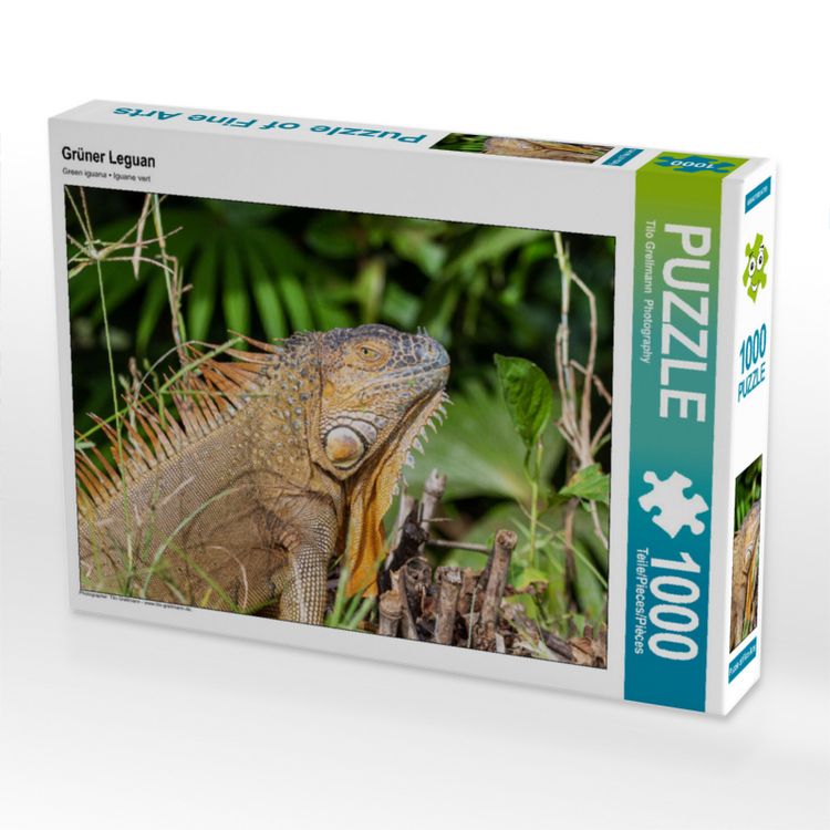 Produktbild: CALVENDO Puzzle Gr&uuml;ner Leguan | 1000 Teile Lege-Gr&ouml;&szlig;e 64x48cm Foto-Puzzle f&uuml;r gl&uuml;ckliche Stunden