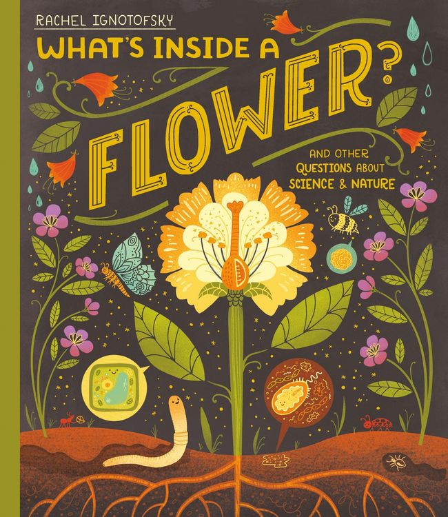 Produktbild: What's Inside a Flower?