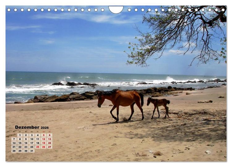 Produktbild: Nicaraguas faszinierende Flora & Fauna (Wandkalender 2026 DIN A4 quer), CALVENDO Monatskalender