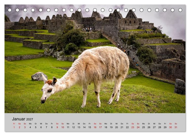 Produktbild: Unter Lamas und Alpakas (Tischkalender 2027 DIN A5 quer), CALVENDO Monatskalender