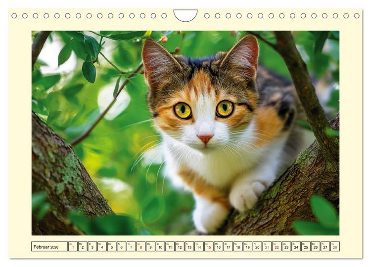 Produktbild: Geliebte Katzen. Unsere zauberhaften Hauskatzen im Garten (Wandkalender 2026 DIN A4 quer), CALVENDO Monatskalender