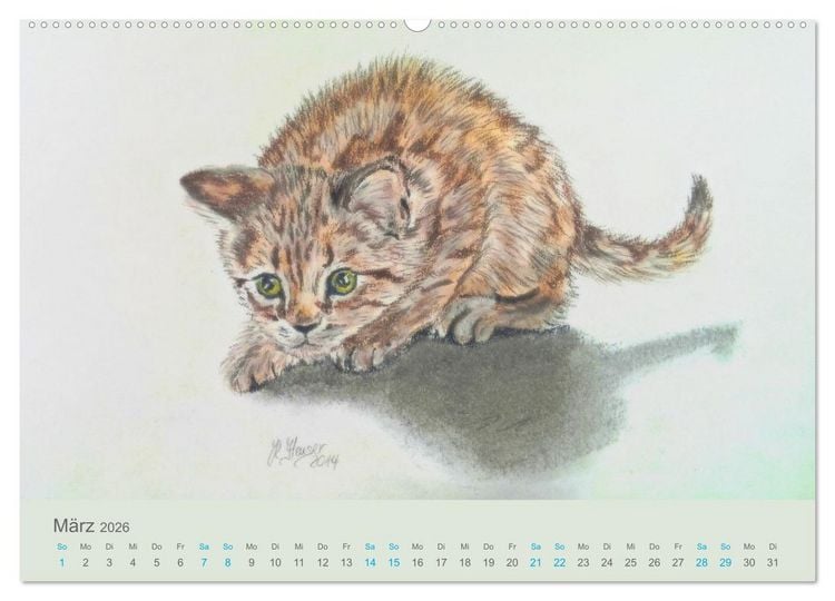 Produktbild: KATZEN PortraiTierART (Wandkalender 2026 DIN A2 quer), CALVENDO Monatskalender