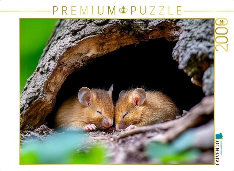 Produktbild: CALVENDO Puzzle M&auml;use | 2000 Teile Lege-Gr&ouml;&szlig;e 90x67cm Foto-Puzzle f&uuml;r gl&uuml;ckliche Stunden
