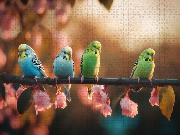 Produktbild: CALVENDO Puzzle In Farbe baden, in Stille tr&auml;umen | 1000 Teile Lege-Gr&ouml;&szlig;e 64x48cm Foto-Puzzle f&uuml;r gl&uuml;ckliche Stunden