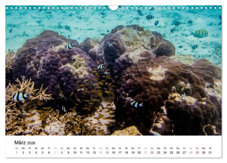 Produktbild: Unterwasserwelt der Malediven II (Wandkalender 2026 DIN A3 quer), CALVENDO Monatskalender