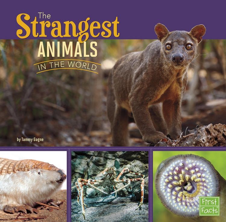 Produktbild: Strangest Animals in the World