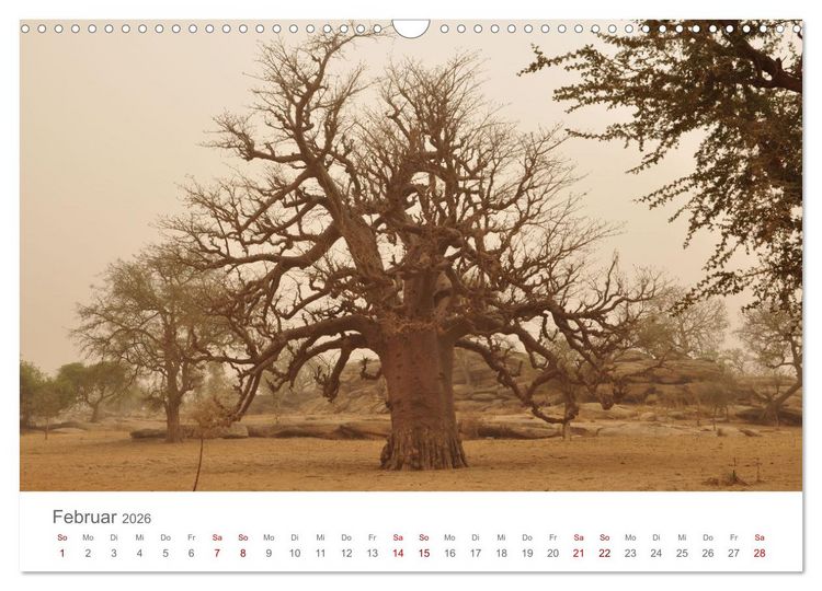 Produktbild: Mali - Dogonland - Weltkultur- und Weltnaturerbe (Wandkalender 2026 DIN A3 quer), CALVENDO Monatskalender