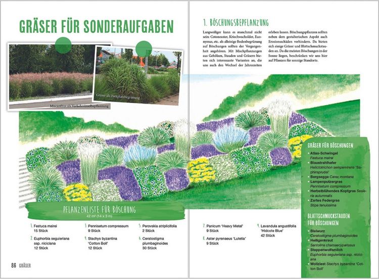 Produktbild: MDR Garten - Gr&auml;ser