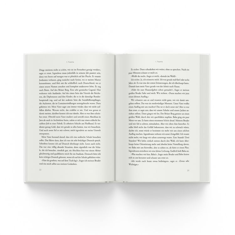 Produktbild: Das Kapitel, das fehlt