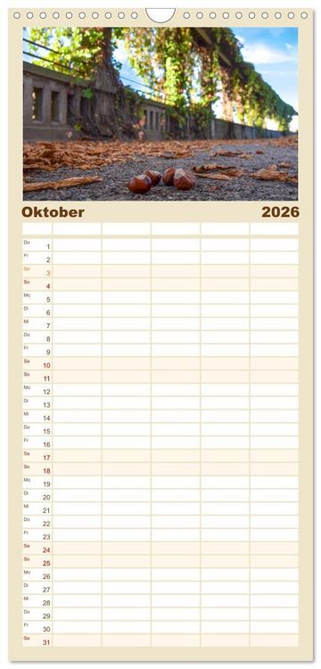 Produktbild: Familienplaner 2026 - Kassel begeistert mit 5 Spalten (Wandkalender, 21 x 45 cm) CALVENDO