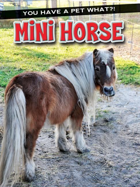 Produktbild: Mini Horse