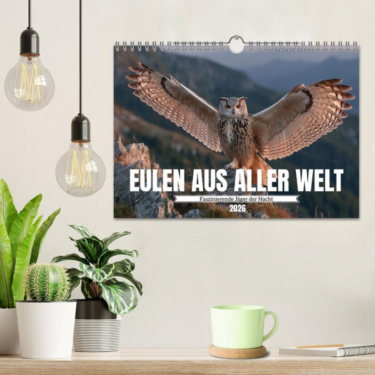 Produktbild: Eulen aus aller Welt - Faszinierende J&auml;ger der Nacht (Wandkalender 2026 DIN A4 quer), CALVENDO Monatskalender