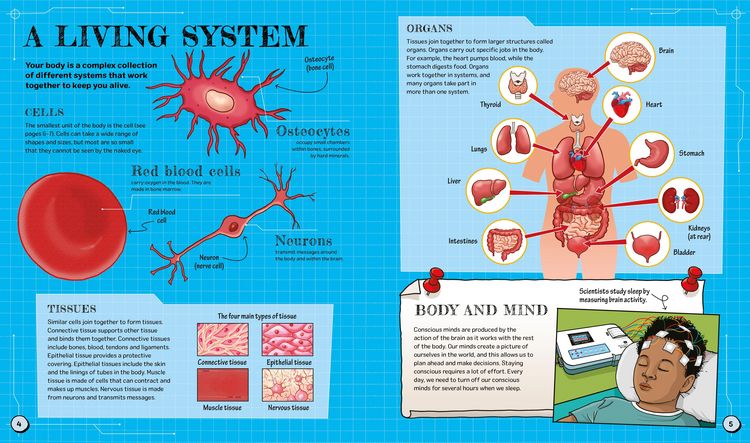 Produktbild: The Spectacular Science of the Human Body