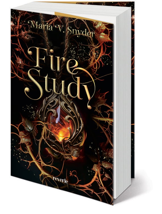 Produktbild: Fire Study