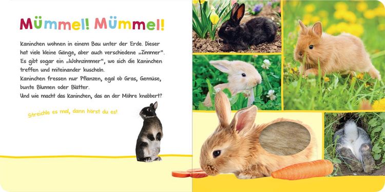 Produktbild: H&ouml;r mal rein, wer kann das sein? &ndash; Im Fr&uuml;hling