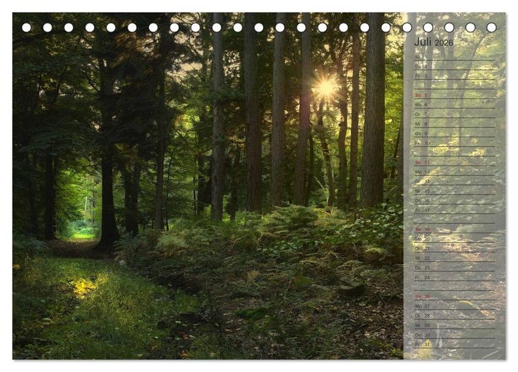 Produktbild: Unser Wald - Magische Sichten in norddeutsche W&auml;lder / Geburtstagskalender (Tischkalender 2026 DIN A5 quer), CALVENDO Monatskalender