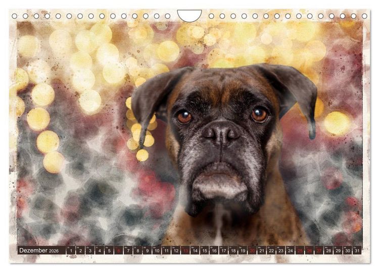 Produktbild: Boxer Photo&Kunst (Wandkalender 2026 DIN A4 quer), CALVENDO Monatskalender